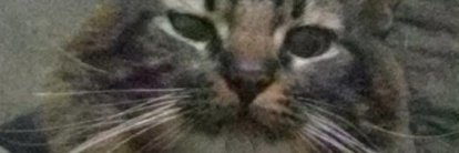 ᅠ ᅠᅠ banner