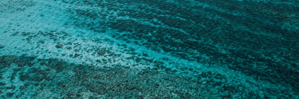 renata_collado's profile banner image