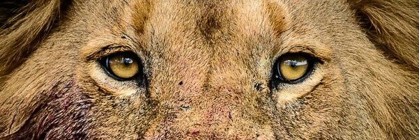 Kennyblasta's profile banner image