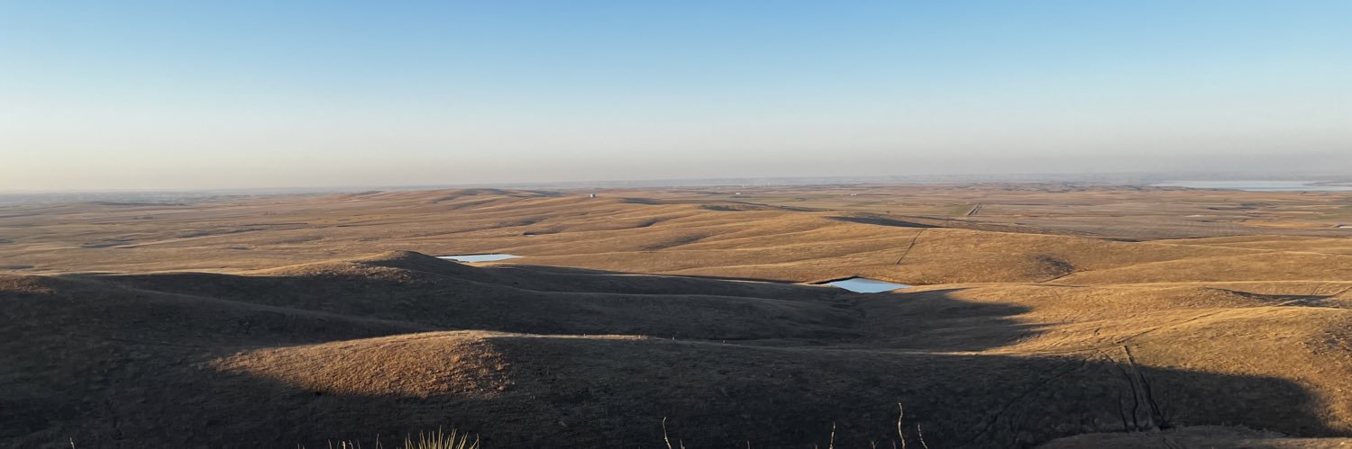 lliwporter's profile banner image
