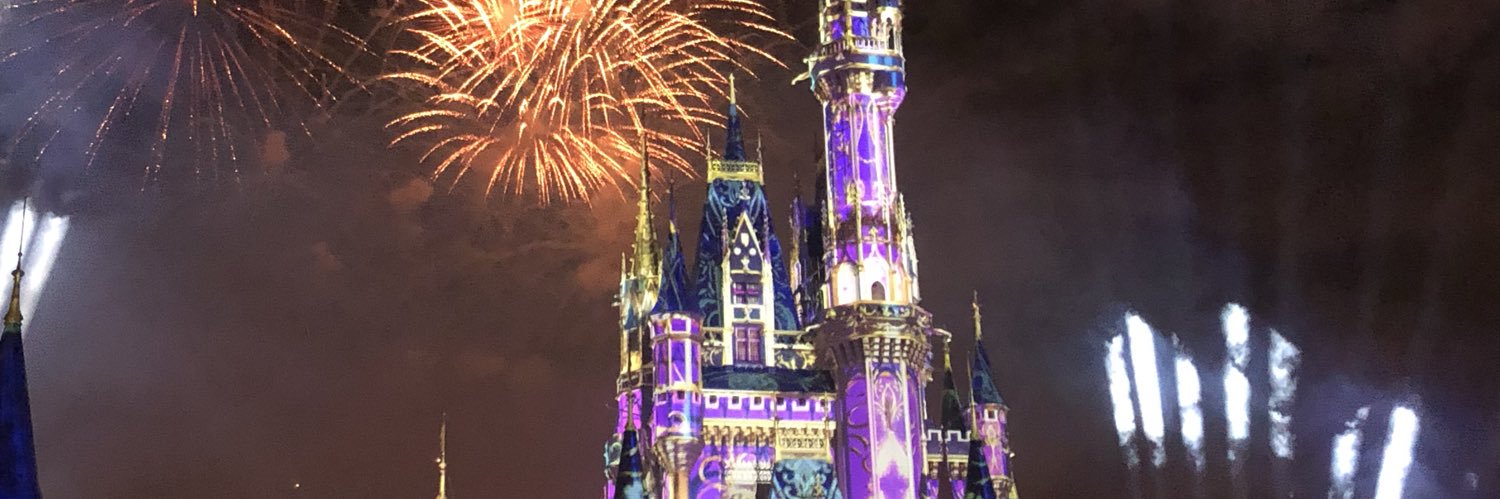 disneylover95's profile banner image