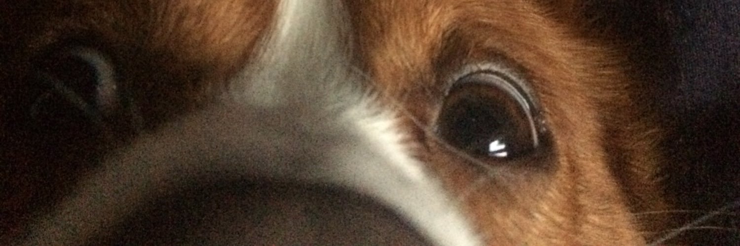DambItsDave's profile banner image
