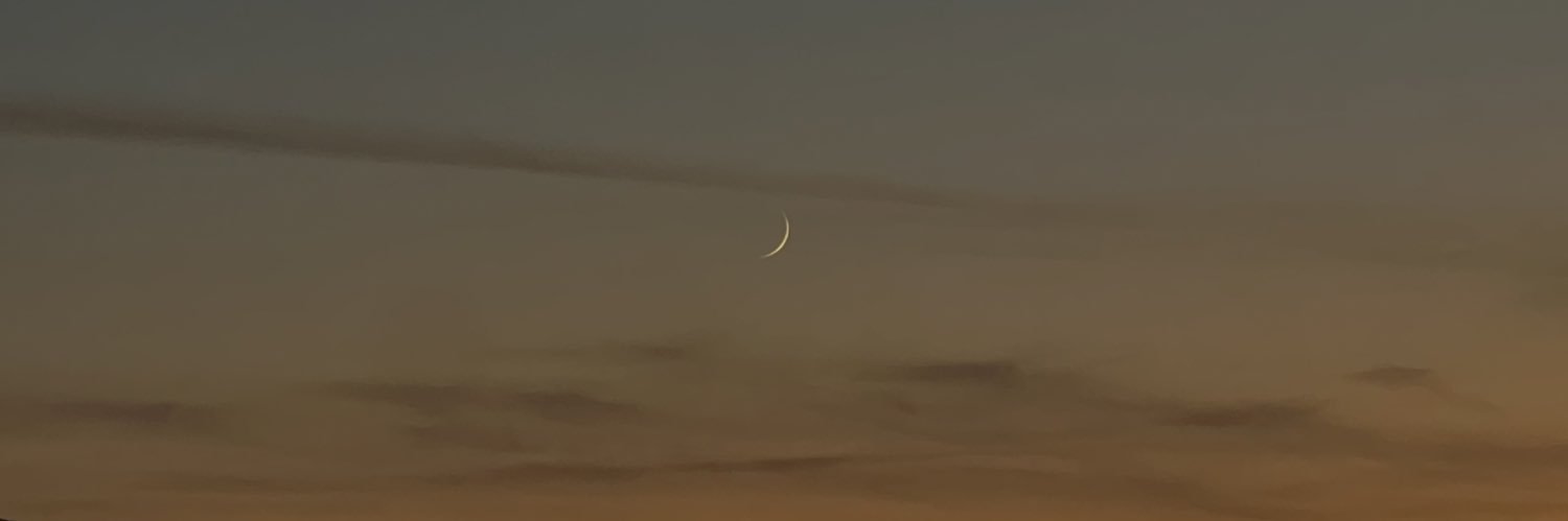 anicnl's profile banner image