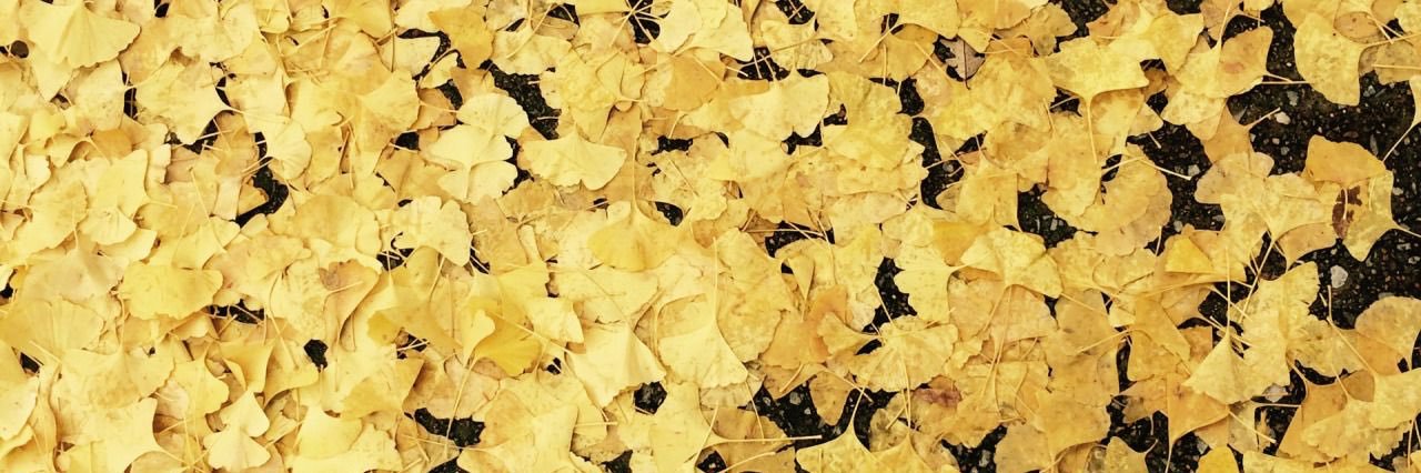 Andy_Snape_'s profile banner image