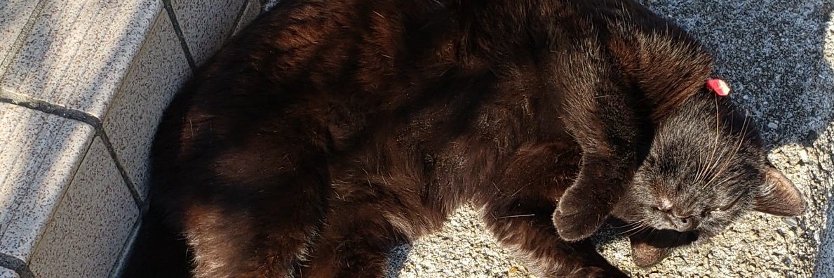 クロネコよしべえ banner