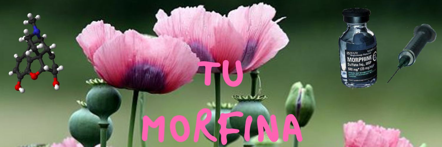 ferherreraz85's profile banner image