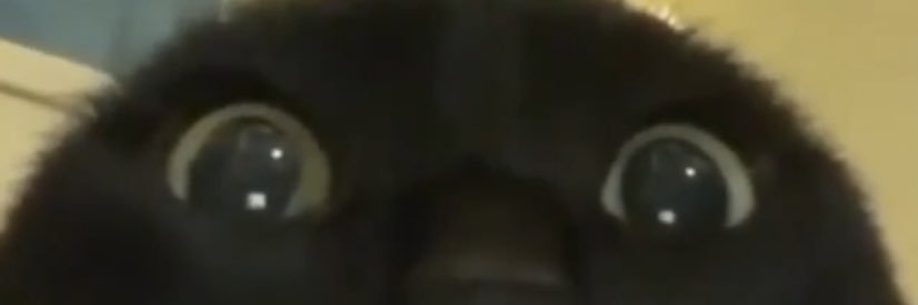 ashley_hackk's profile banner image