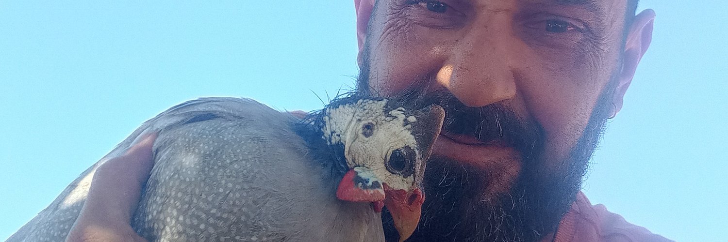 EleandroBelmiro's profile banner image