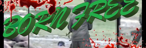lovalott_'s profile banner image