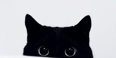 ChamiliVanilli's profile banner image