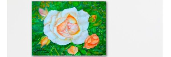 SunshineAmos's profile banner image