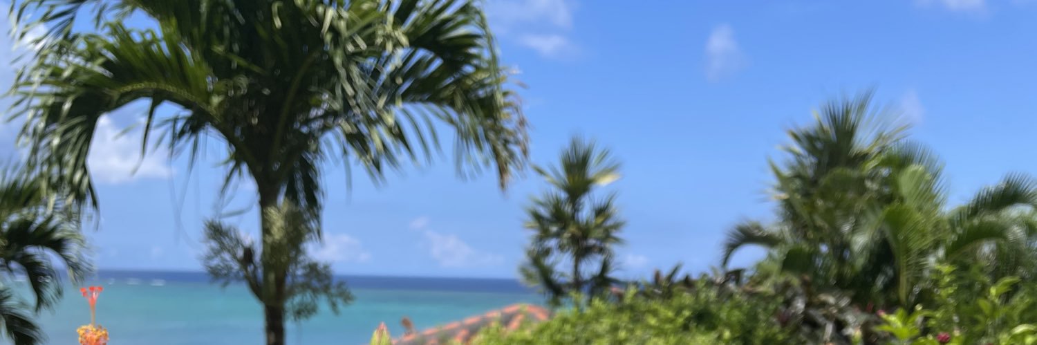 permumu's profile banner image