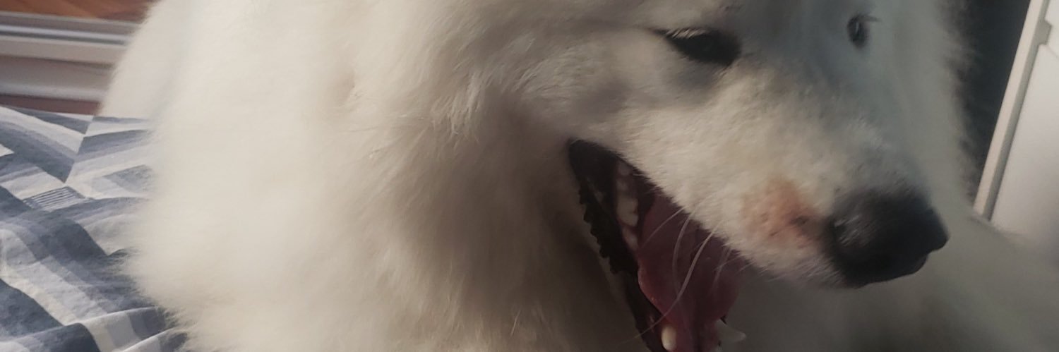 martnellienzo's profile banner image