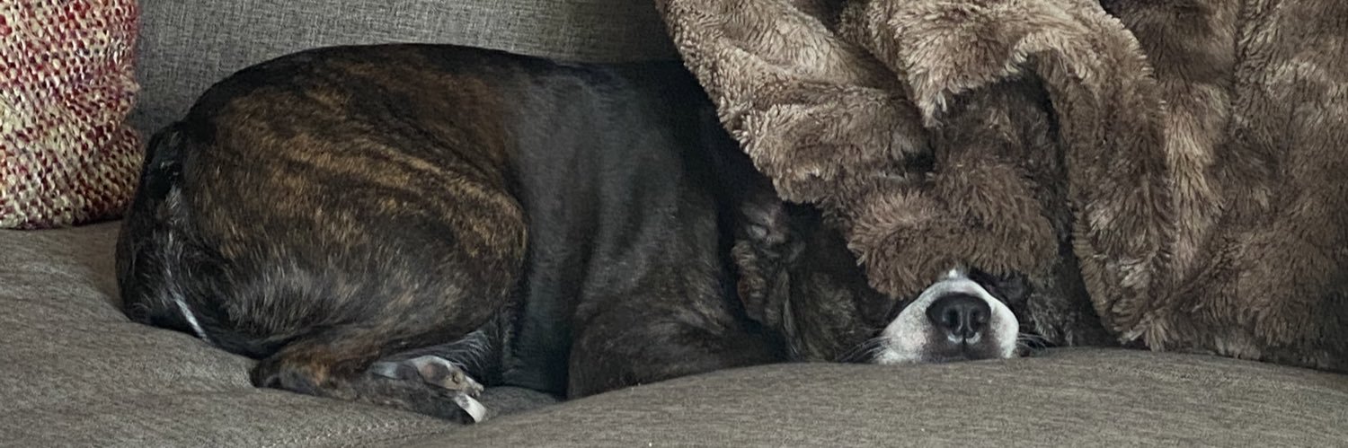 tiger maw-maw banner