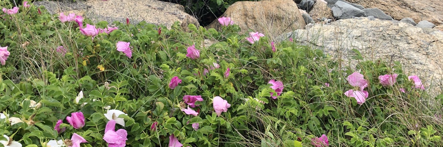 Wyckoff Summer Academies banner