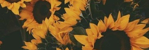 MaxwellEmilyA's profile banner image