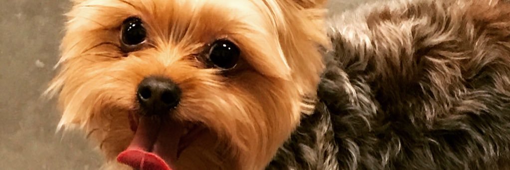 DeckerThewreck's profile banner image