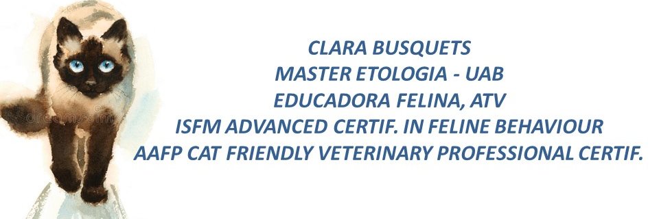 Clara Busquets 🐈 🐈‍⬛ banner