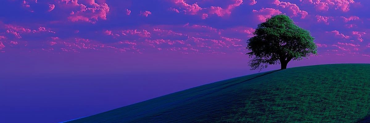nathanpaviot's profile banner image
