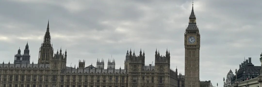ealmajed1's profile banner image