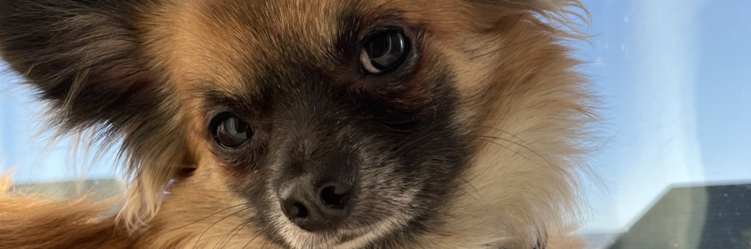kaylathompson4's profile banner image