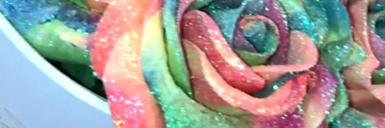 _poodahhh's profile banner image