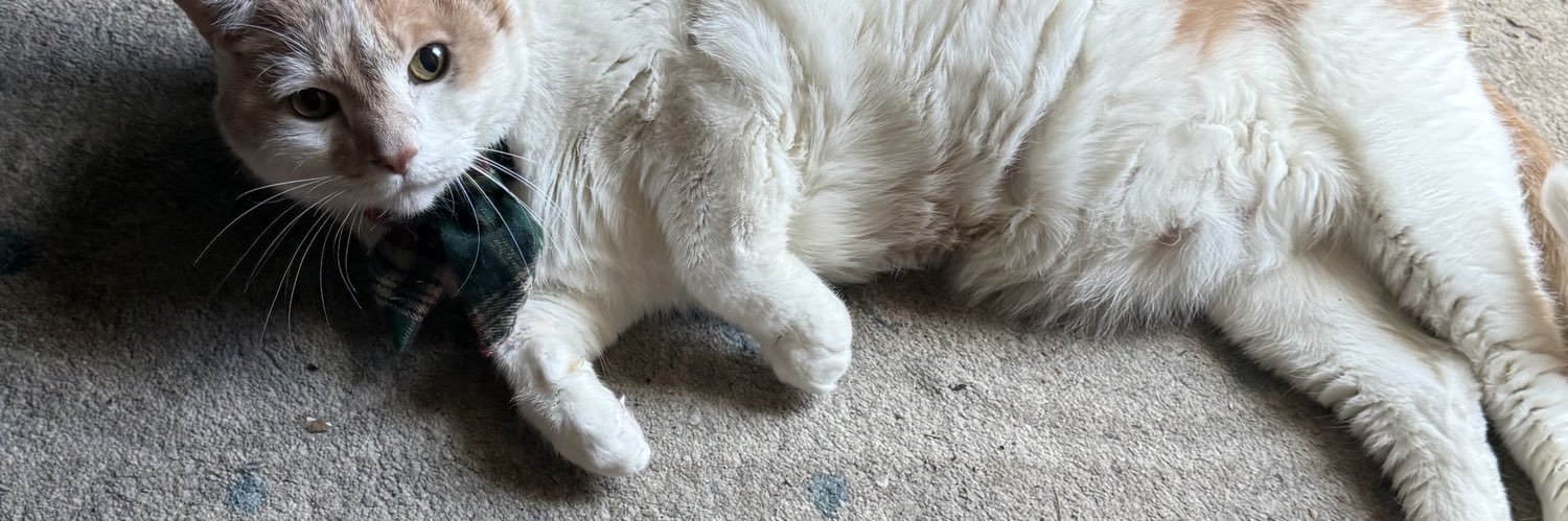 If the apocalypse comes, beep me banner