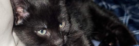 xSmokeNaPancake's profile banner image