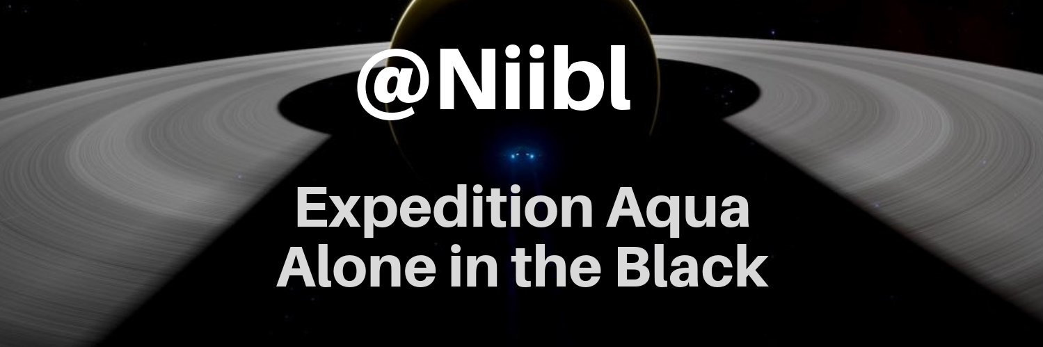 Niibl's profile banner image