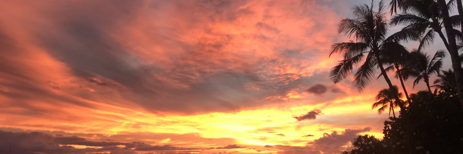BeckySlingsby's profile banner image