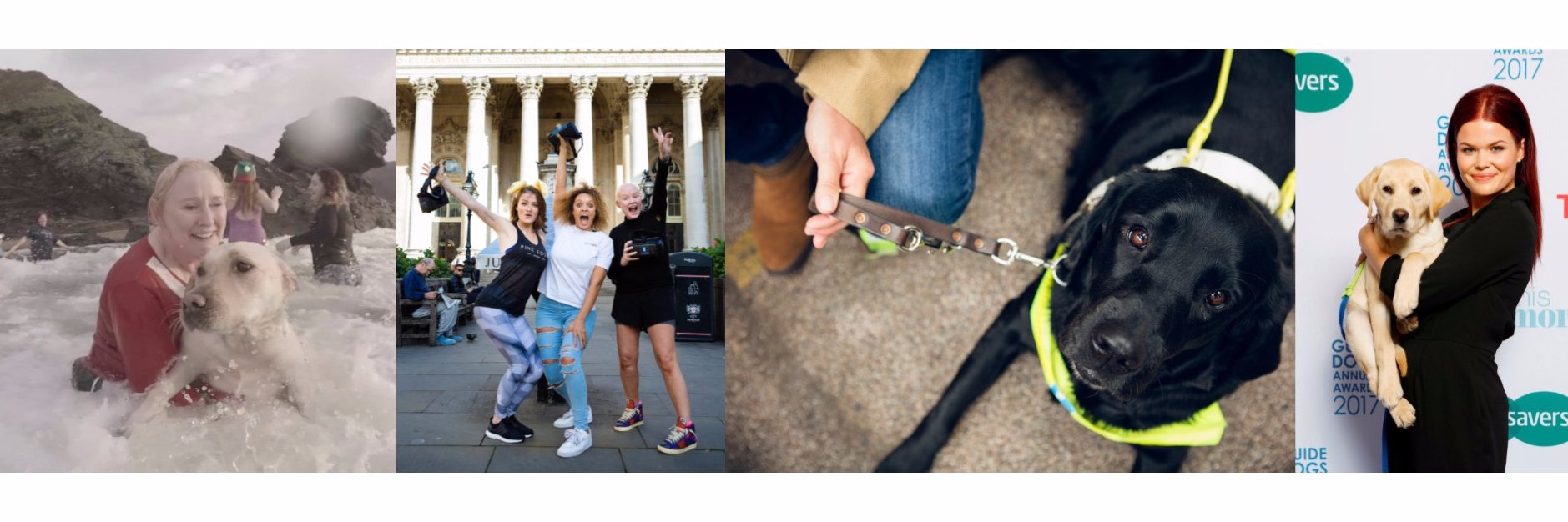 Guide Dogs Press banner