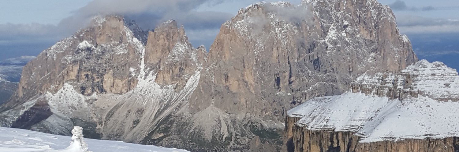 ☕️🐈HonkyTonkWoman 🐈☕️ banner