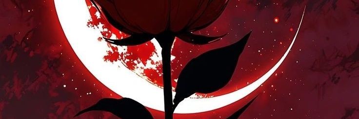 Ragoavyn's profile banner image