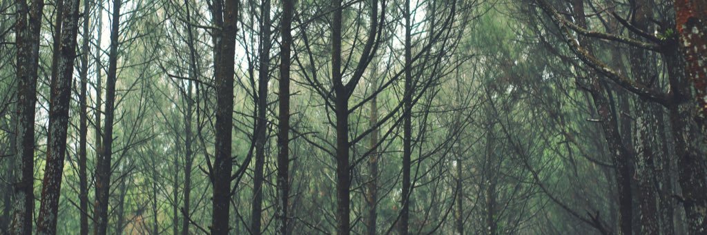 widiyanto_tr's profile banner image