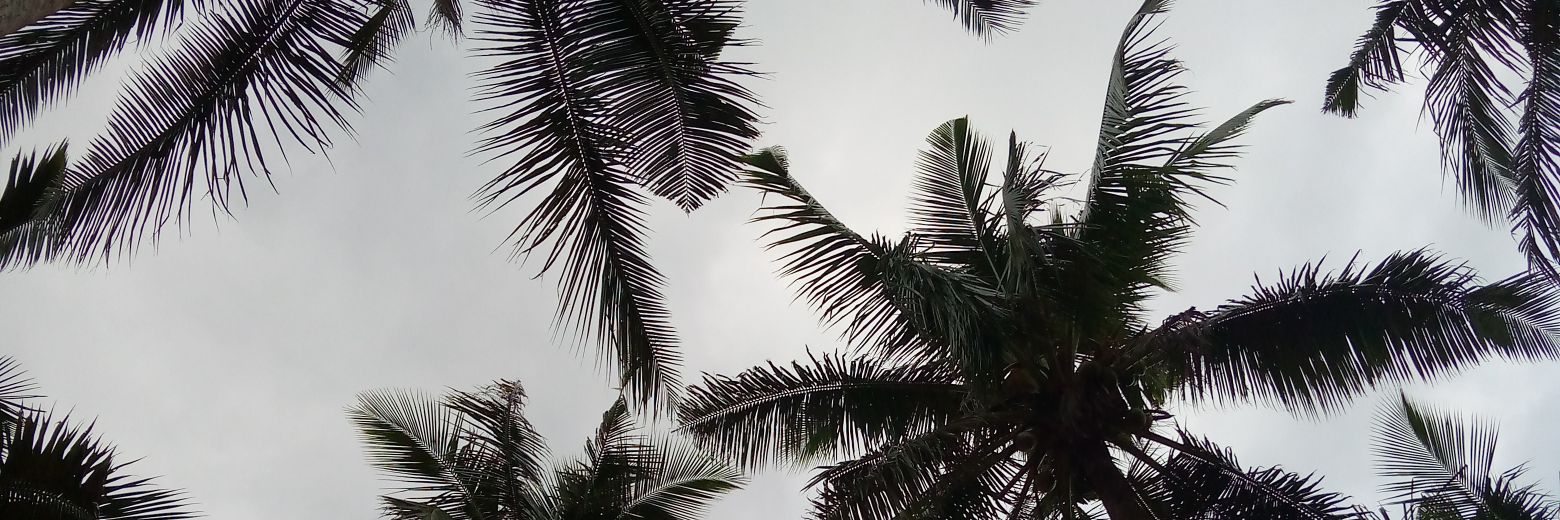 cat_ering123's profile banner image