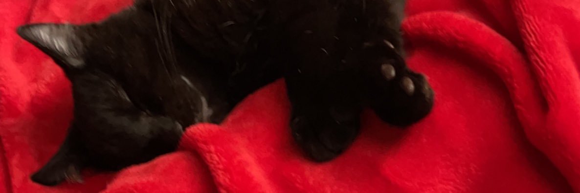 HeyItsJMVLOV3's profile banner image