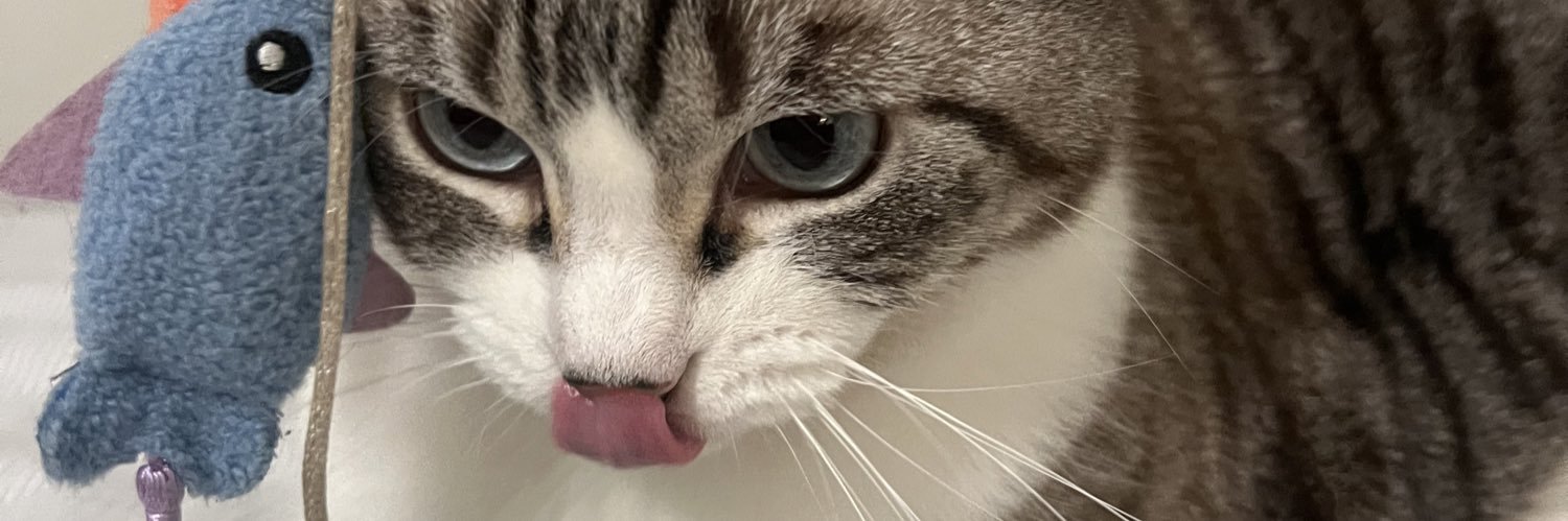 ORRY111's profile banner image