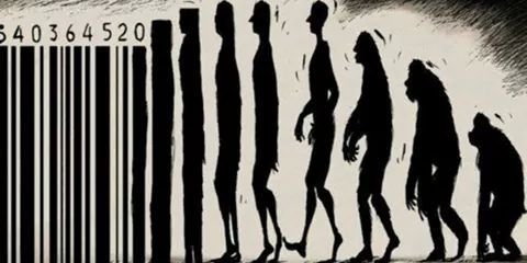 aliocruax's profile banner image