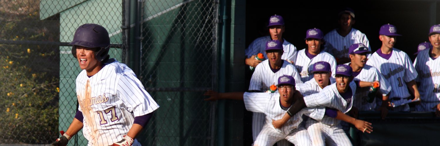 DBHS Baseball banner