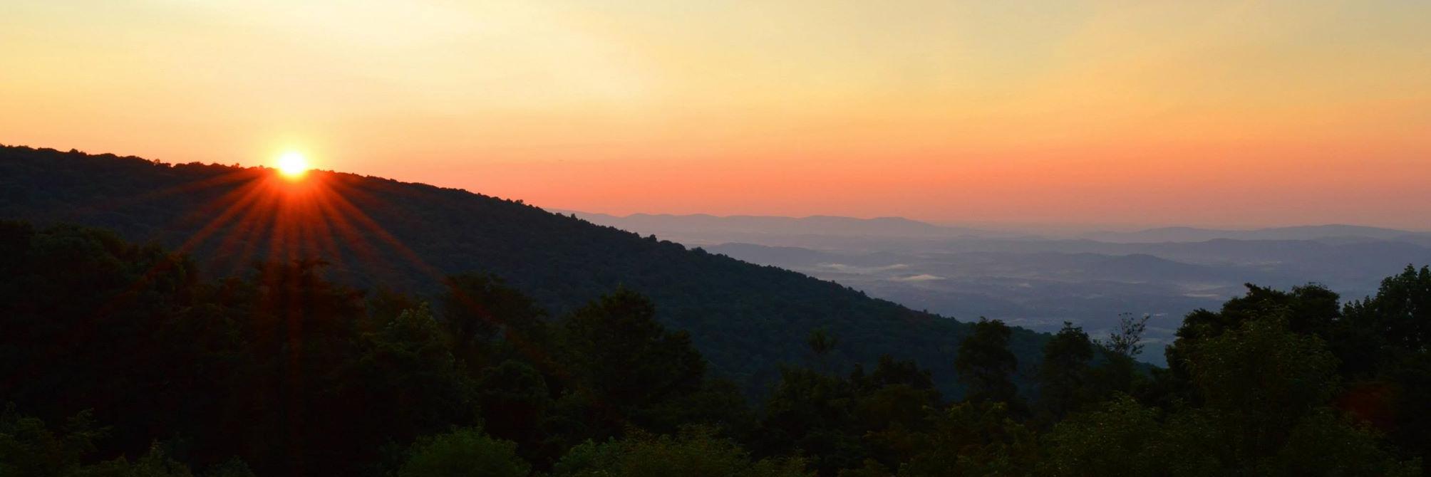 Debarati Basu banner