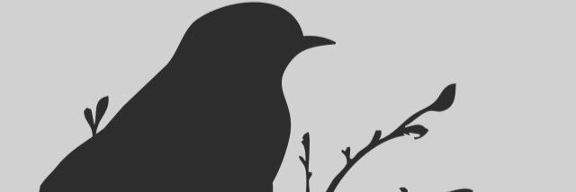 Kilabye's profile banner image