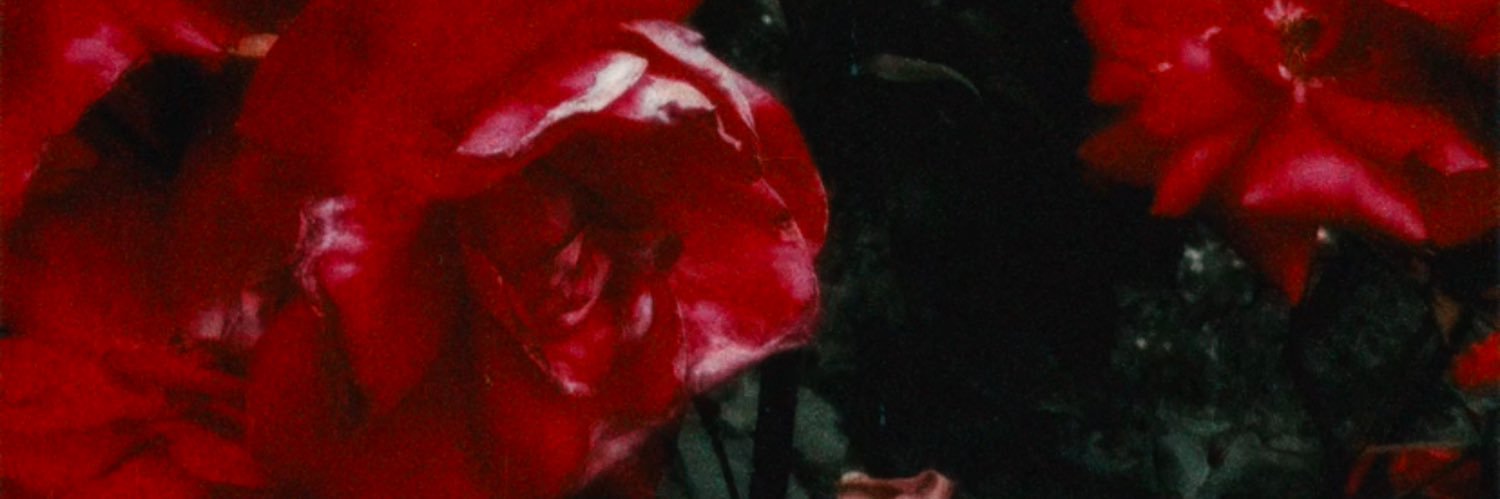 Nicolas Lewis banner