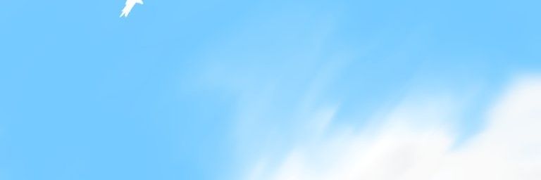 329_dp's profile banner image