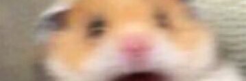 DiaperDan_'s profile banner image