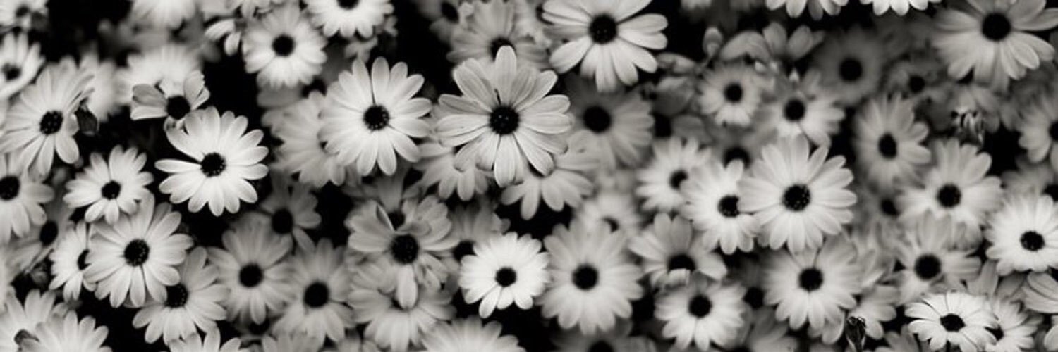 AmandaHaug's profile banner image