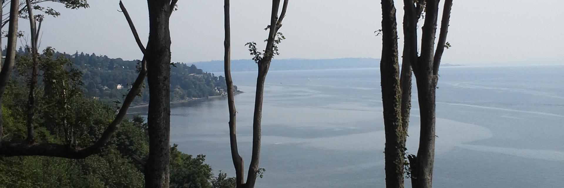 Jemma Stachelek banner