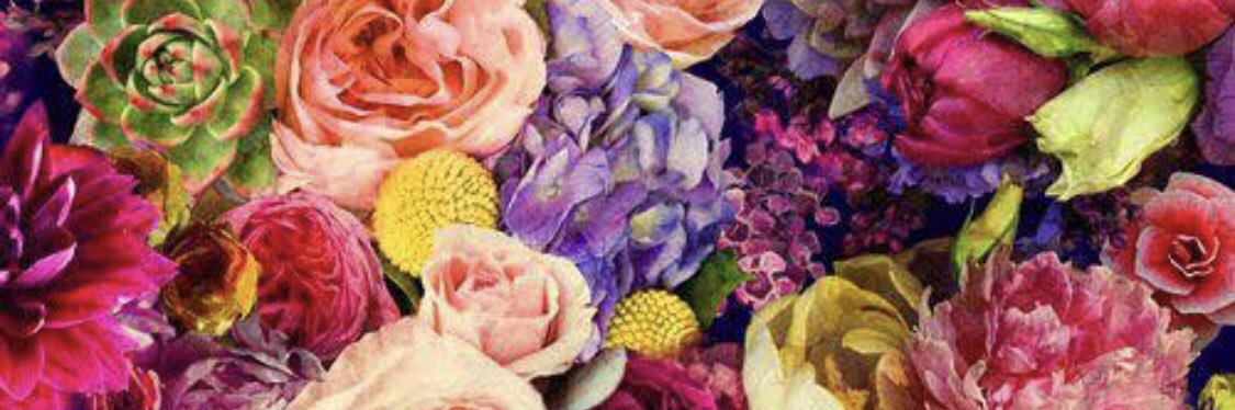 tracyhansel's profile banner image