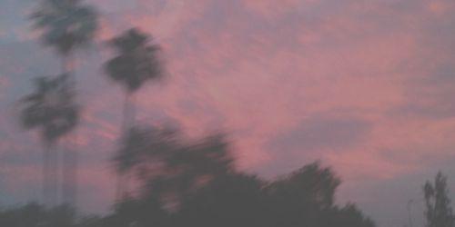 lunabug. banner