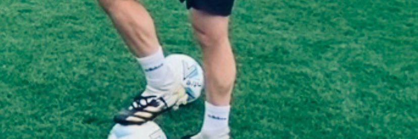 Terry Harrison banner