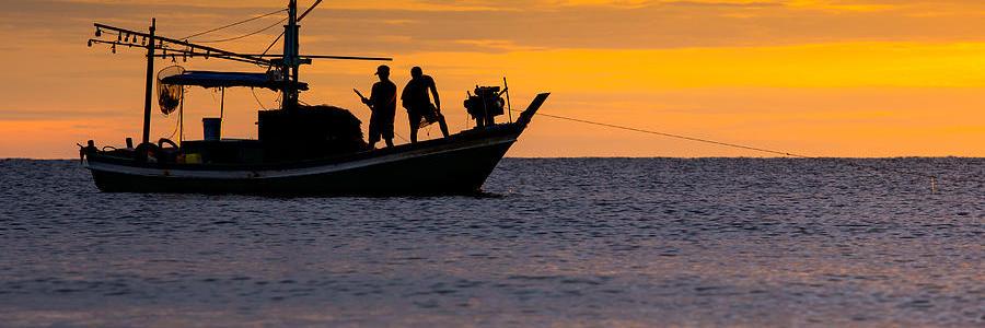 FishAsFriend's profile banner image